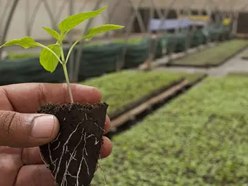 El proyecto 'Renovables 7 Islas' de alumnos de FP, ganador del programa TuCREA El proyecto 'Renovables 7 Islas' de alumnos de FP, ganador del programa TuCREA