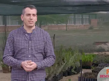 De estudiante a profesor de Formación Profesional De estudiante a profesor de Formación Profesional