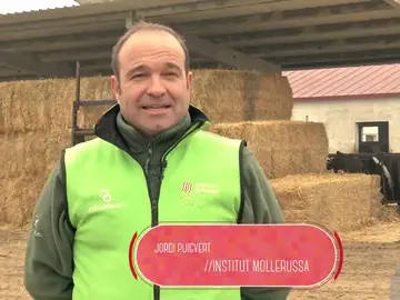 Técnico en Producción Agropecuaria Técnico en Producción Agropecuaria