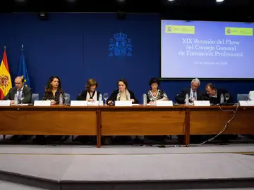 El Gobierno convoca el Pleno del Consejo General de la Formación Profesional El Gobierno convoca el Pleno del Consejo General de la Formación Profesional