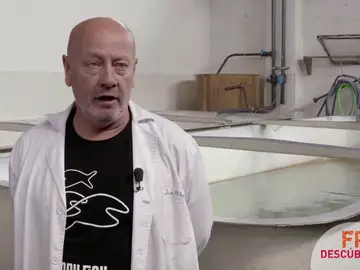 Una Formación Profesional que conciencie al alumnado de la realidad Una Formación Profesional que conciencie al alumnado de la realidad