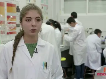 Estudié este ciclo para poder trabajar en lo que me gusta Estudié este ciclo para poder trabajar en lo que me gusta