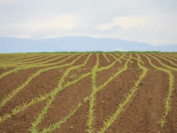 Aumenta el número de jóvenes que escogen títulos de Formación Profesional de la familia Agraria Aumenta el número de jóvenes que escogen títulos de Formación Profesional de la familia Agraria