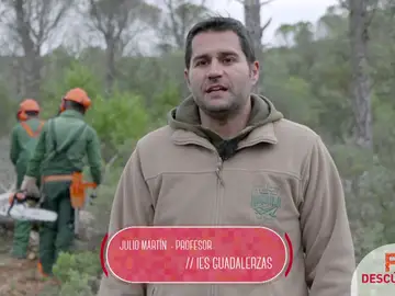 Profesional Básico en Aprovechamientos Forestales Profesional Básico en Aprovechamientos Forestales