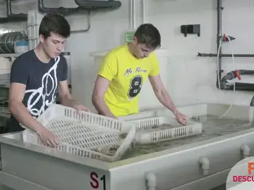 Aposté por un segundo ciclo formativo para poder trabajar en el mar Aposté por un segundo ciclo formativo para poder trabajar en el mar