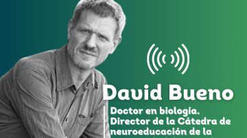 David Bueno - Jelo en verano