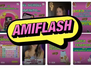 Home Amiflash