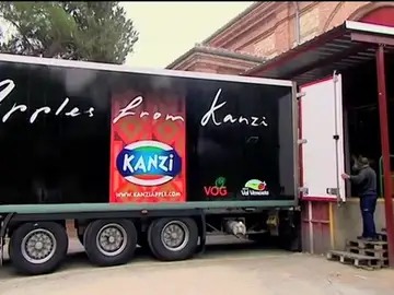 'El Estirón' - Manzanas Kanzi 'El Estirón' - Manzanas Kanzi