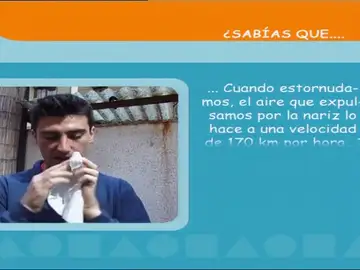 Sabías que, el estornudo Sabías que, el estornudo