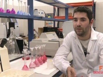 Quería trabajar con soltura en un laboratorio