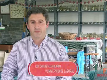 Profesional Básico en Actividades Marítimo-Pesqueras Profesional Básico en Actividades Marítimo-Pesqueras