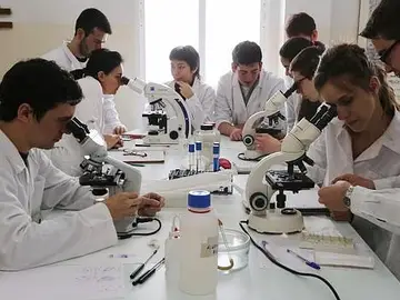 Nuevas becas de educación Nuevas becas de educación