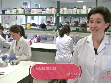 Técnico Superior en Laboratorio Clínico y Biomédico Técnico Superior en Laboratorio Clínico y Biomédico