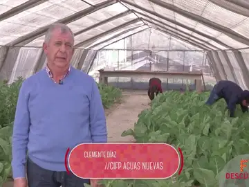 Técnico en Producción Agroecológica Técnico en Producción Agroecológica