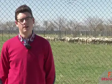 Puedes acceder desde la ESO Puedes acceder desde la ESO