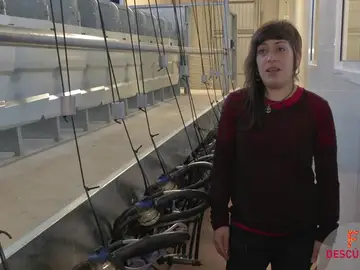 Es la enseñanza más equilibrada Es la enseñanza más equilibrada