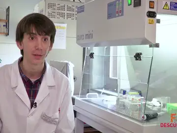 Quiero trabajar en un laboratorio Quiero trabajar en un laboratorio
