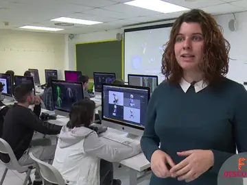 Los profesores son profesionales del sector Los profesores son profesionales del sector