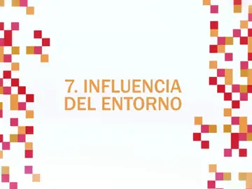 Influencia del entorno Influencia del entorno
