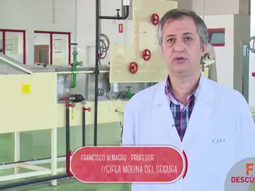 Técnico Superior en Procesos y Calidad en la Industria Alimentaria Técnico Superior en Procesos y Calidad en la Industria Alimentaria