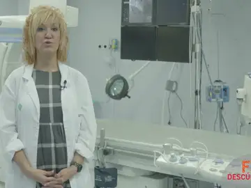 Técnico Superior en Imagen para el Diagnóstico y Medicina Nuclear Técnico Superior en Imagen para el Diagnóstico y Medicina Nuclear