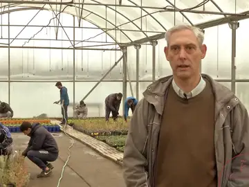 Técnico en Jardinería y Floristería Técnico en Jardinería y Floristería