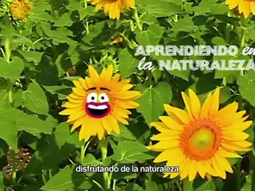 Aprende en la naturaleza con la familia Aprende en la naturaleza con la familia