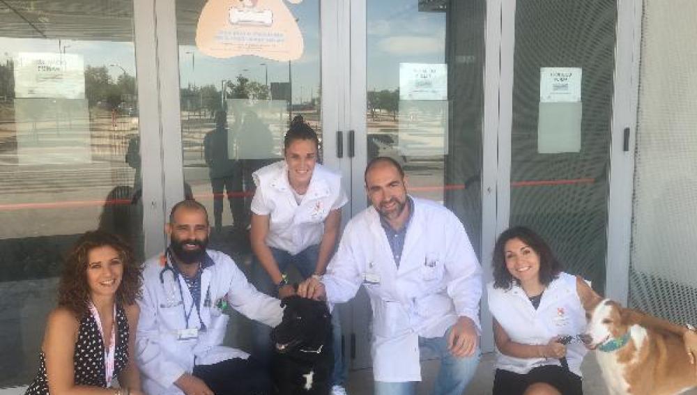 El Hospital Rey Juan Carlos abre sus puertas a los perros 