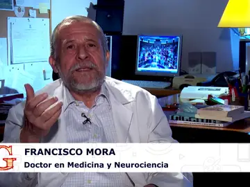Francisco Mora Francisco Mora