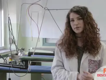 Confección y Moda, de la teoría a la práctica Confección y Moda, de la teoría a la práctica