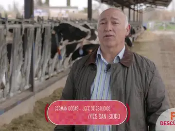 Técnico Superior en Ganadería y Asistencia en Sanidad Animal Técnico Superior en Ganadería y Asistencia en Sanidad Animal