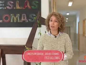 Los estudios en FP son muy prácticos Los estudios en FP son muy prácticos
