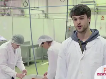 FP, una vía rápida para acceder al mercado laboral FP, una vía rápida para acceder al mercado laboral