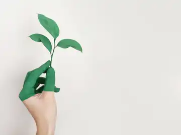 El CPIFP San Blas será centro de referencia nacional en respeto al medioambiente y bioeconomía El CPIFP San Blas será centro de referencia nacional en respeto al medioambiente y bioeconomía