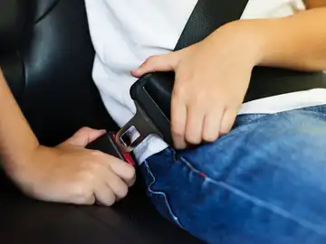 Tráfico propone crear un título de FP de Formador en Movilidad y Seguridad Vial Tráfico propone crear un título de FP de Formador en Movilidad y Seguridad Vial