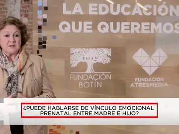 ¿Puede hablarse de vínculo emocional prenatal entre madre e hijo? ¿Puede hablarse de vínculo emocional prenatal entre madre e hijo?