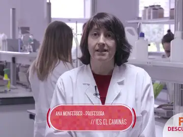 Técnico Superior en Desarrollo y Fabricación de Productos Cerámicos Técnico Superior en Desarrollo y Fabricación de Productos Cerámicos