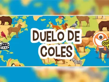Ojó por Ojó, iniciativa de Mr Plinton y Onda Cero para ayudar a los animales Ojó por Ojó, iniciativa de Mr Plinton y Onda Cero para ayudar a los animales