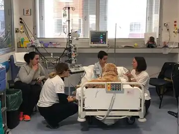 La terapia asistida con perros en la UCI pediátrica del Hospital 12 de Octubre se lleva el primer premio Albert Jovell La terapia asistida con perros en la UCI pediátrica del Hospital 12 de Octubre se lleva el primer premio Albert Jovell