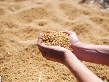 Un nuevo ciclo de FP de agroecología se impartirá el próximo curso en Ribadeo (Lugo) y Boqueixón (A Coruña) Un nuevo ciclo de FP de agroecología se impartirá el próximo curso en Ribadeo (Lugo) y Boqueixón (A Coruña)