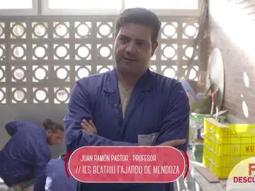 Profesional Básico en Mantenimiento de Viviendas Profesional Básico en Mantenimiento de Viviendas