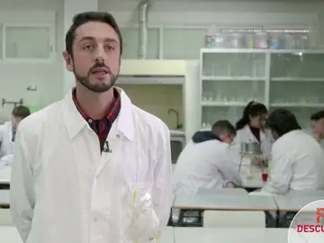 Esta FP Dual en Planta Química permite combinar trabajo y estudios Esta FP Dual en Planta Química permite combinar trabajo y estudios