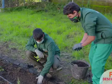 He elegido esta FP Básica porque tiene muchas salidas en el sector agrícola He elegido esta FP Básica porque tiene muchas salidas en el sector agrícola