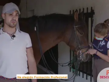 El Grado Medio en Actividades Ecuestres forma a los amantes de los caballos El Grado Medio en Actividades Ecuestres forma a los amantes de los caballos